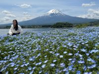 1f4ee613-ac0c-4010-a058-084cc30580ca