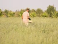 7f577eb9-0a27-4ffe-89f3-b348146320a0