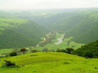 876173353_Rossetti_Salalah-Oman_Oct10_-012