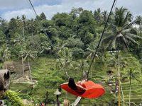 bali bali