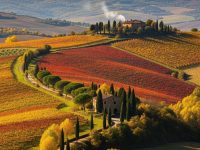 Tuscany Fall Road Trips 2025_ Hidden Scenic Foliage Routes